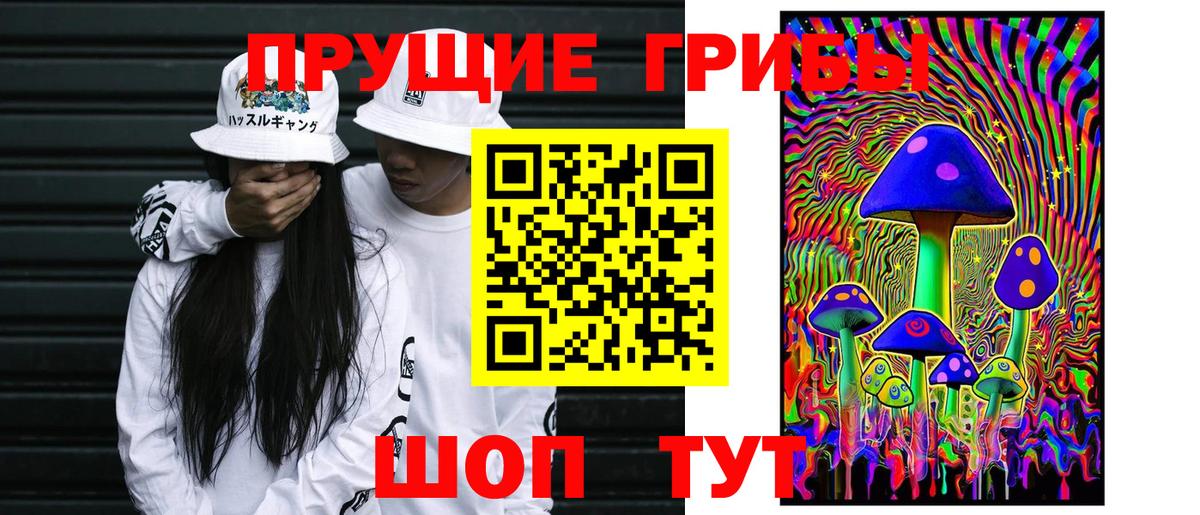 Псилоцибиновые грибы мицелий  Карачаевск  Псилоцибиновые грибы MAGIC MUSHROOMS 