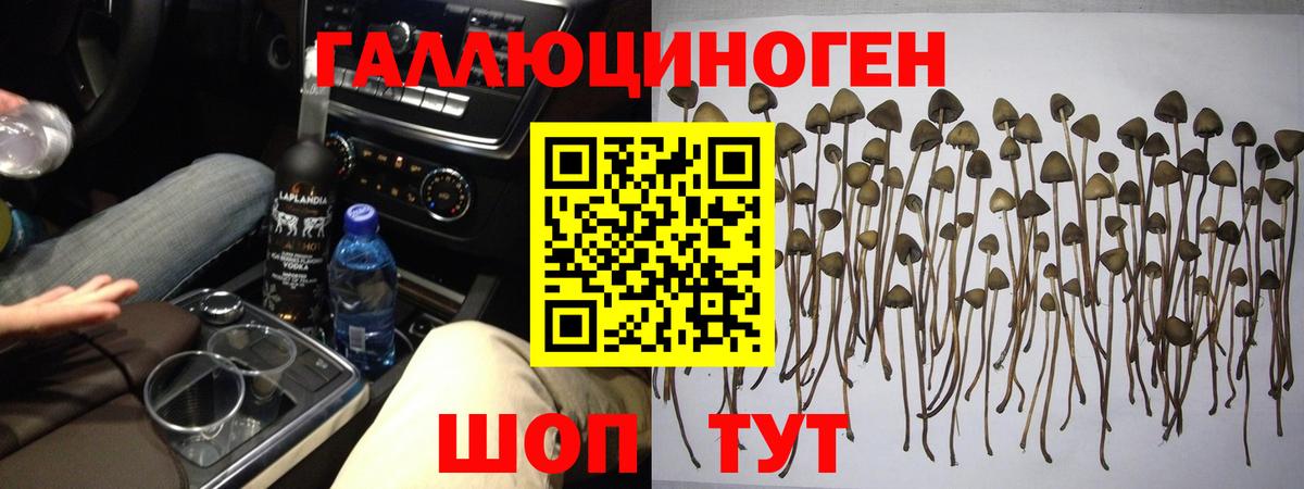 Галлюциногенные грибы ЛСД Карачаевск