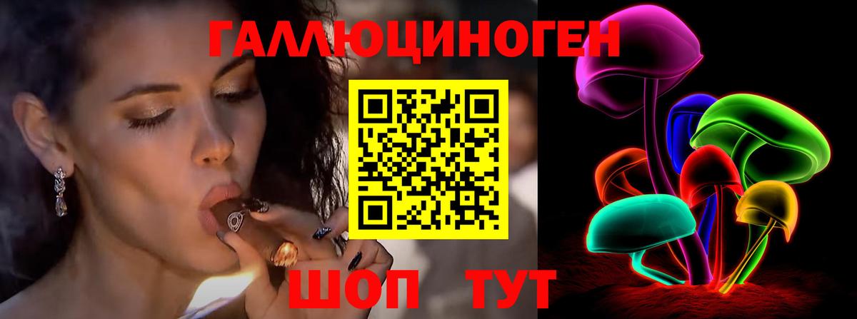 Карачаевск  Псилоцибиновые грибы Cubensis  Вход с VPN  Галлюциногенные грибы прущие грибы 